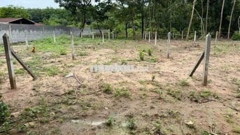 Chủ ngộp cần sang hơn 1000m2 đất vườn có thổ, SHR giá rẻ liền tay