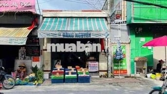Nhà Mặt Tiền 1tỷ150 cho thuê 10 Triệu Ở Khu Dân Cư Tân Kiên Bình Chánh