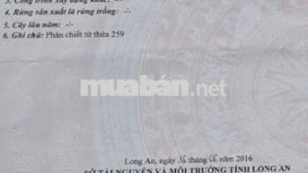 Nhà đô thị, 2 mặt tiền  xe hơi xe tải