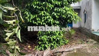 Bán lô đất vườn đường An Sơn 19  An Sơn Thuận An Bình Dương