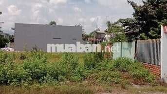 Gia Đình Đi Nước Ngoài Cần Chuyển Nhượng Gấp Đất ở Tân Thông Hội CủChi