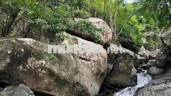 CẦN TIỀN BÁN GẤP ĐẤT VƯỜN GIÁP SUỐI - GẦN HỒ TRỊ AN  chỉ 850tr/ sào