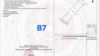 Đất sổ riêng thổ cư phường Tân Triều. Chỉ cần 200 triệu nhận đất