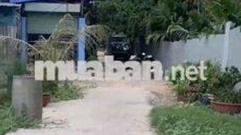 cần bán lô đất trồng cây lâu năm ( lên được thổ cư)