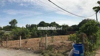 Đất ngộp bank 1/ nguyễn thị nê (1225m2- 240TC), phú hoà đông