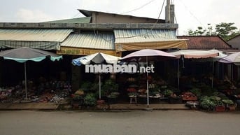 Cho thuê toàn bộ căn nhà ngay chợ Ông Trác, huyện Hóc Môn, TP.HCM