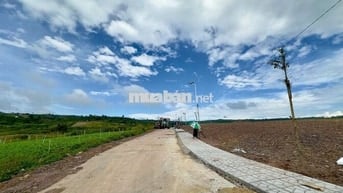 ĐẤT VIEW ĐỒI SỔ RIÊNG, CHỈ 730 TRIỆU SỞ HỮU NGAY 1.200M VEN ĐÀ LẠT!