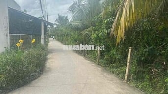 Đất nhà em cần cắt ra bán 800m2