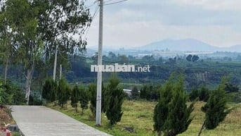 Bán lô đất đẹp ven Đà Lạt, săn mây buổi sáng giá chỉ 550tr
