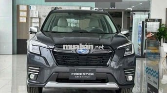 Subaru Forester Es - Giá lăn bánh ***