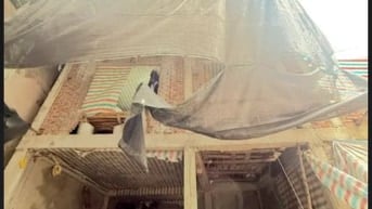 Nhà phố ô chợ dừa chung cư mini 7 tầng thang máy giá 24.5 tỷ