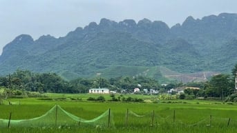 1000, 2000, 3000m đất đẹp giá rẻ tiềm năng đầu tư tại Kim Bôi Hòa Bình