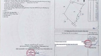 Bán nhanh 1,1359ha đất rừng sản xuất Tân An, Vĩnh Cửu, Đồng Nai