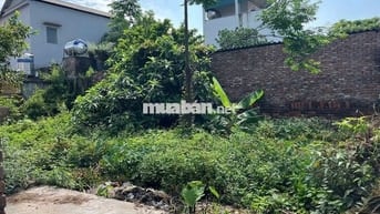 ĐẤT ĐẸP GIÁ TỐT – GẦN NHÀ VĂN HÓA & HỒ ĐIỀU HÒA KIM SƠN, GIA LÂM