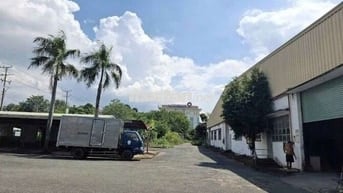 CHO  THUÊ  KHO  XƯỞNG ( 15.000m2)  XÃ  TÂN  KIÊN  HUYỆN  BÌNH  CHÁNH.