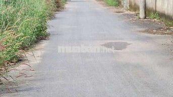 AN VIỄN TRẢNG BOM MẶT TIỀN ĐƯỜNG NHỰA 5M ĐƯỜNG THÔNG NGAY ẤP 4