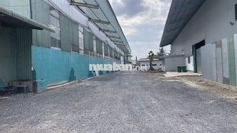 Cho thuê kho xưởng 6.000m2 Hướng Thọ Phú, Tân An,Long An (cũ), giá tốt