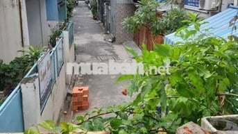 Nhà nguyên căn hẻm xe hơi đường Trần Mai Ninh, Tân Bình