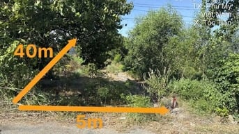 Công ty Đấu giá hợp danh Lam Sơn Sài Gòn THÔNG BÁO ĐẤU GIÁ TÀI SẢN