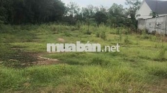 Ông có nền đất ở ngay mặt tiền đường huyện 462m2 muốn bán giá 670tr