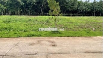 Sang nhanh 380m2 đất có thổ cư giá rẻ sau lưng chợ thuộc TTHC Phú Giáo