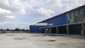 CHO THUÊ BÃI CHỨA HÀNG 1HA  5HA TẠI TRUNG TÂM TP. BÀ RỊA
