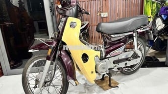 Dream tem Hồng cổ chính chủ