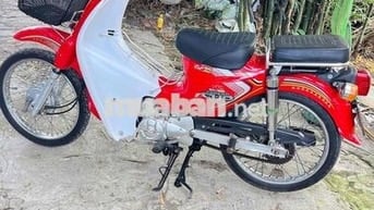 cup 50 màu hót đời mới