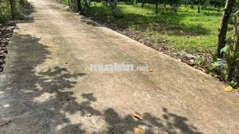 1000m ĐẤT CÓ THỔ CƯ XUÂN THIỆN