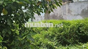 BÁN LÔ ĐẤT HIẾM 5,5X15M MẶT TIỀN ĐƯỜNG 7M TAO4 - GIÁP GÒ VẤP