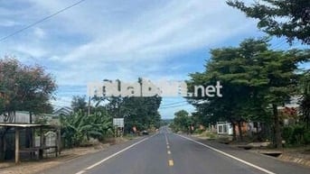 BÁN ĐẤT MẶT TIỀN KINH DOANH NGUYỄN THỊ ĐỊNH – FULL THỔ