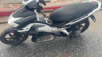 xe nilong dán kín xe