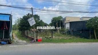 BÁN ĐẤT CỦ CHI GIÁ RẺ CHỈ  6TR/M2 ĐẤT CÂY TRÔM MỸ KHÁNH - THÁI MỸ