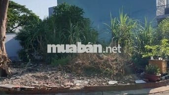 Bán lô đất 2 mặt tiền nhựa 7m gần chợ Xuân Thới Thượng , Hóc Môn