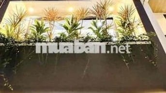 NHÀ ĐẸP MỚI 3PN4WC FULL NT CAO CẤP, 18TR/TH, ĐƯỜNG THỐNG NHẤT - GÒ VẤP