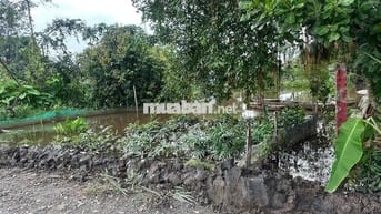 4400m2 có 300m2 thổ cư bán 22 tỷ