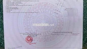 Bán Gấp dãy trọ có 2 kiot- 10phòng ở Tân Thông Hội DT256m2,giá 980