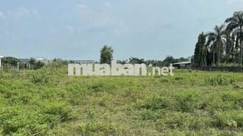 Chính chủ bán đất thổ cư giá rẻ - ĐỨC HÒA hơn 700m2