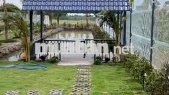 NHÀ VƯỜN THOÁNG MÁT ,ĐƯỜNG XE TẢI TỚI ĐẤT ,ĐƯỜNG THÔNG 2 ĐẦU .......