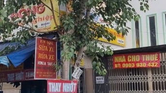 Chính chủ cho thuê nhà mặt tiền KD 348B Ung văn Khiêm, Bình Thạnh