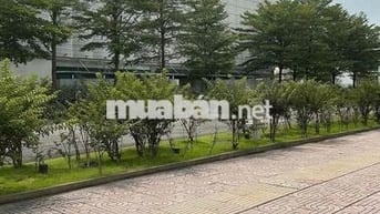 BÁN PHÒNG TRỌ – CHI 4 Tỷ, DT 5,15x14,5 74,6m2, NGAY CHỢ BÌNH TRIỆU