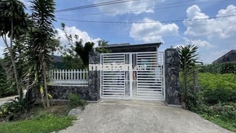 Cần bán lỗ gấp trong tuần 22x57,5m, 1266m2 giá 300triệu sẵn nhà cấp 4