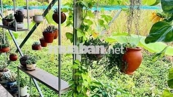 CHO THUÊ TRỌ KHU VĂN HÓA TÂY ĐÔ. 2TR5. 40MV. GÁC. 1pn. Ml.