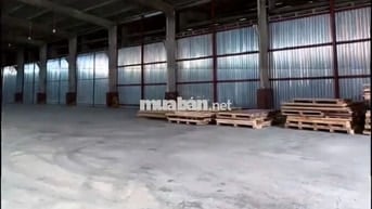 Kho diện tích lớn lên đến 1000m2 ở Nguyễn Hữu Thọ cần cho thuê gấp