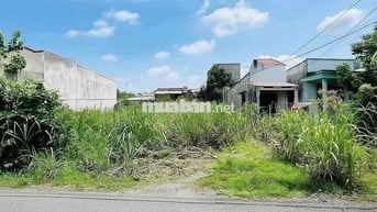 🏡 BÁN ĐẤT ẤP 5 – XÃ PHƯỚC VĨNH AN – HUYỆN CỦ CHI 🏡