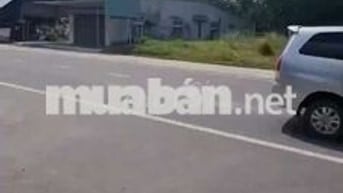 Đất sào giá rẻ đường ĐH-605 Chánh Phú Hòa 8.000m² giá 12,6 tỷ chốt KTL