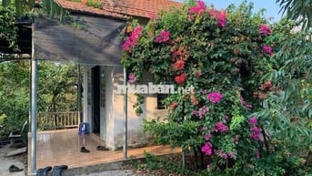 4000m2 ĐẤT XUÂN QUẾ CÓ SẲN NHÀ