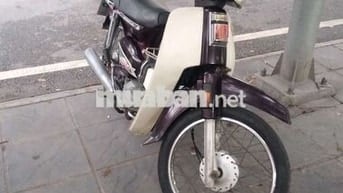 Honda Dream màu Tím, Trắng