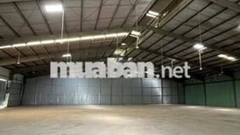 Kho Xưởng 3000m2 Ngay Kênh Tham Lương - Đường Cont - PCCC Vách Tường