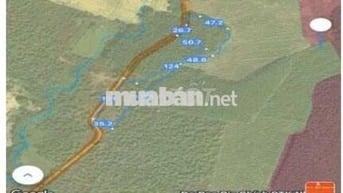 Bán Đất Nông Nghiệp Tân An, Vĩnh Cửu, Đồng Nai